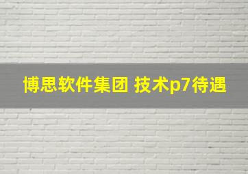 博思软件集团 技术p7待遇